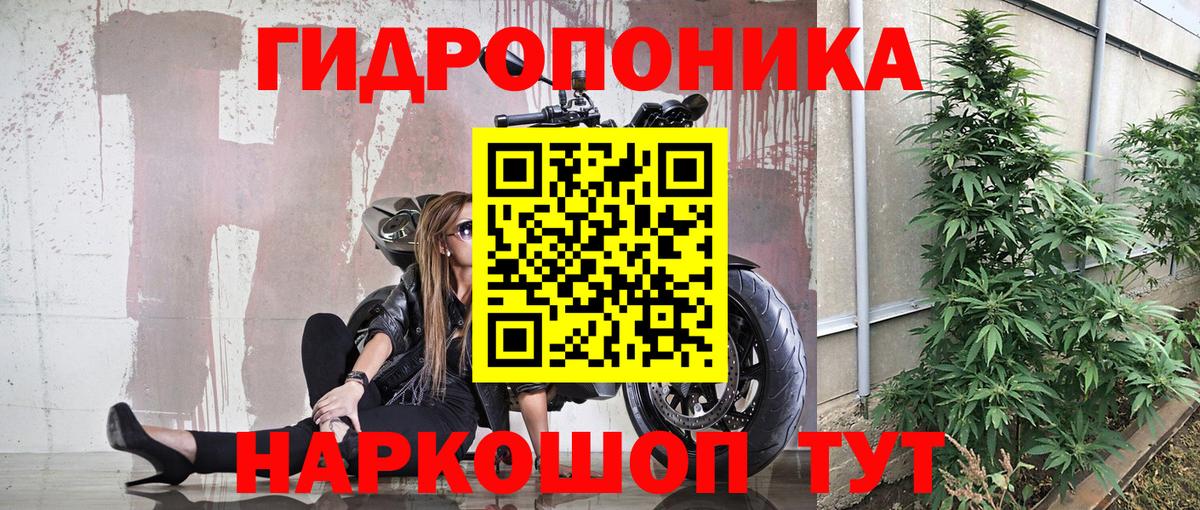 МЕФ Саяногорск